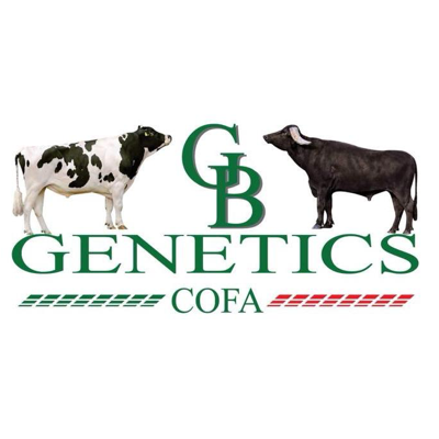 GB Genetics | Cascina San Marco Tidolo